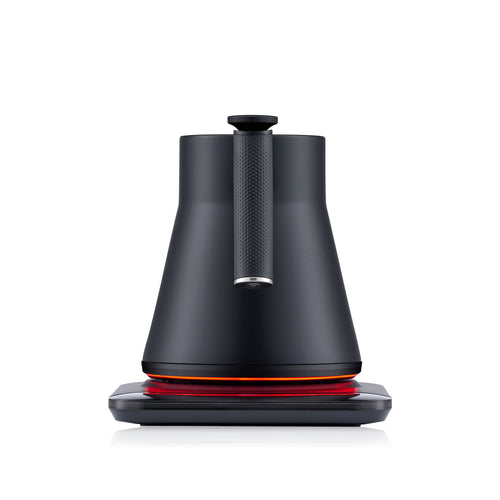 Baristan Gooseneck Kettle