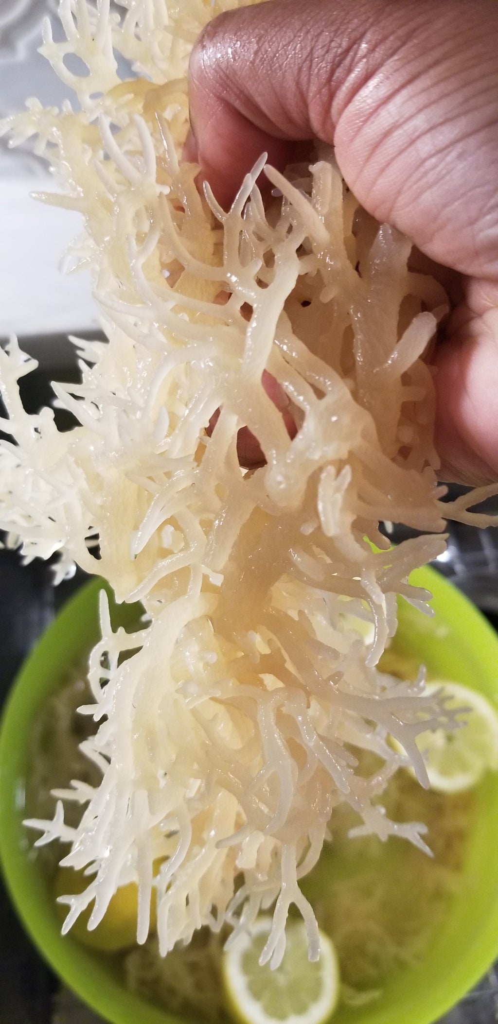 Wildcrafted Sea moss (8oz)