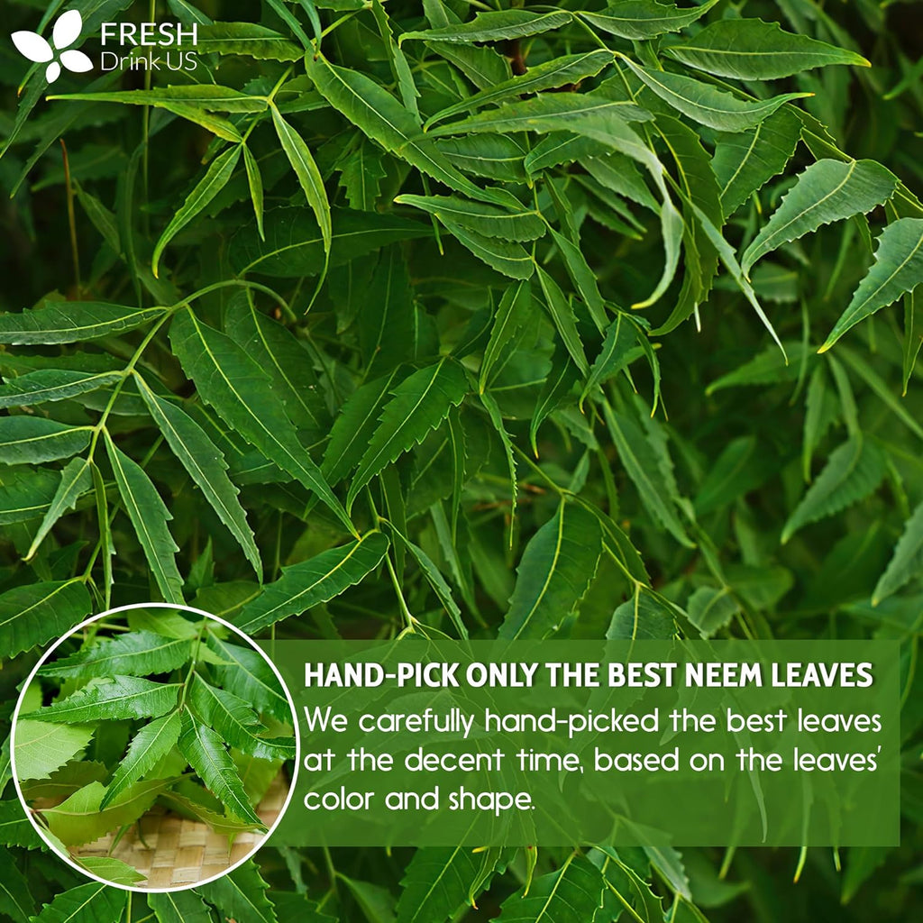 Neem Leaf Tea Bags, 100% Natural and Pure from Neem Leaves. Loose Leaf Neem Herbal Tea. Neem Leaf Tea. No Sugar, No Caffeine, No Gluten, Vegan.