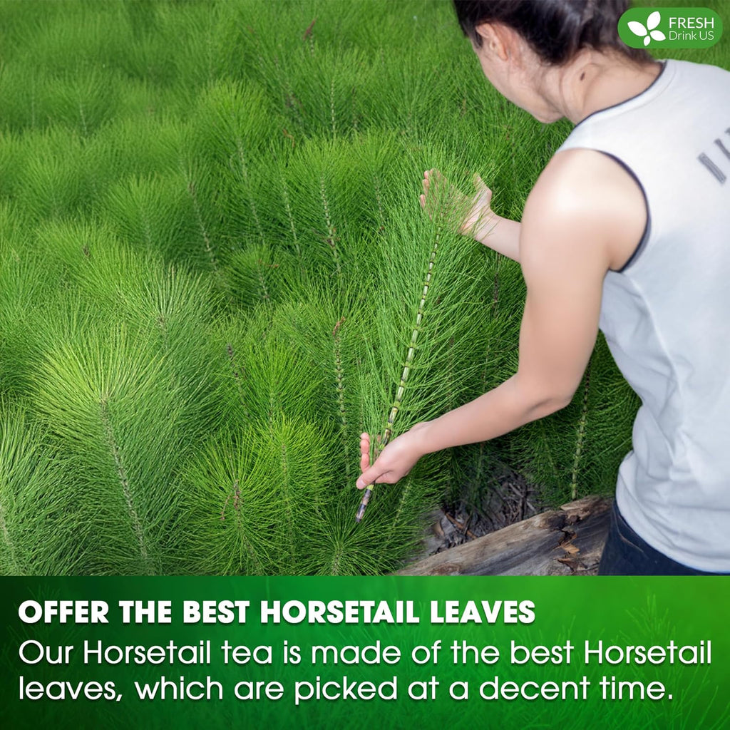 Premium Horsetail Leaf Tea Bags – Herbal Tea for Daily Wellness, Beauty Routine & Caffeine-Free Refreshment