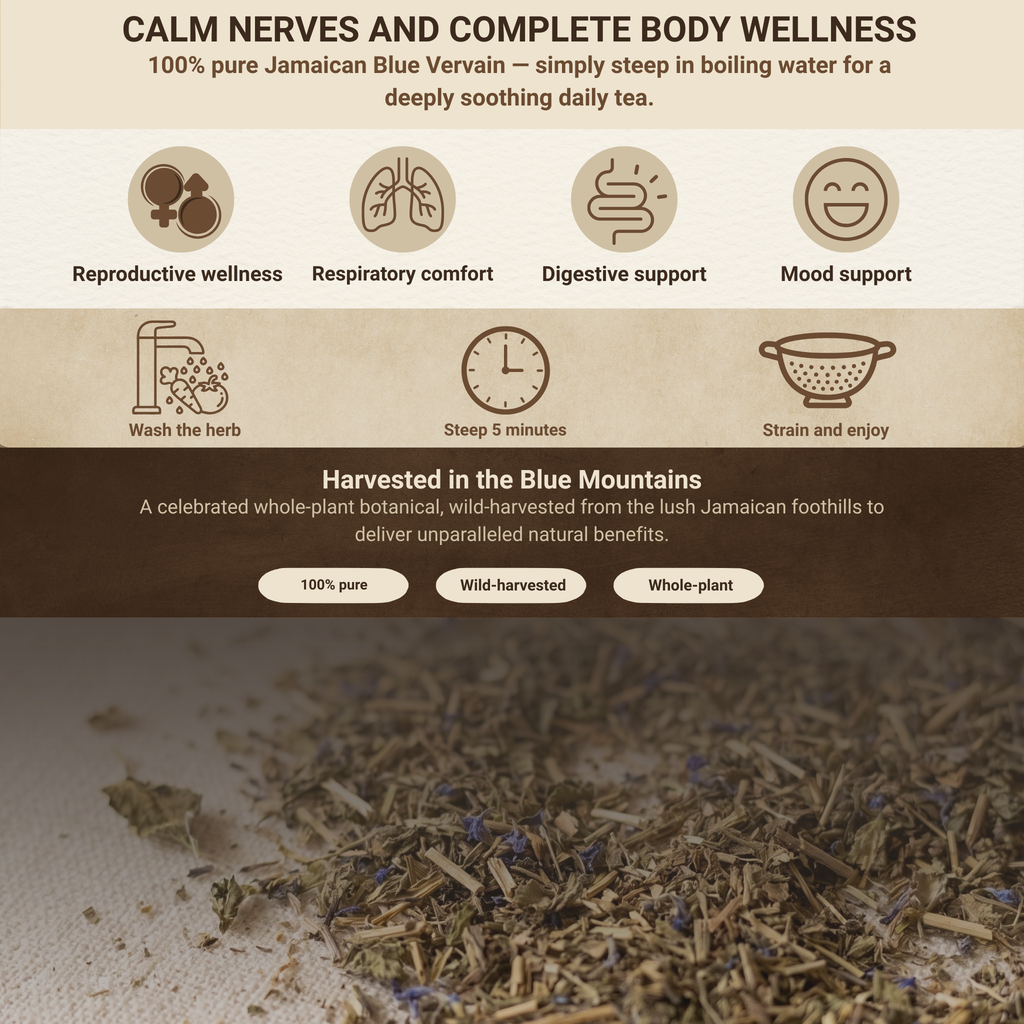 Jamaican Blue Vervain (Wildcrafted)