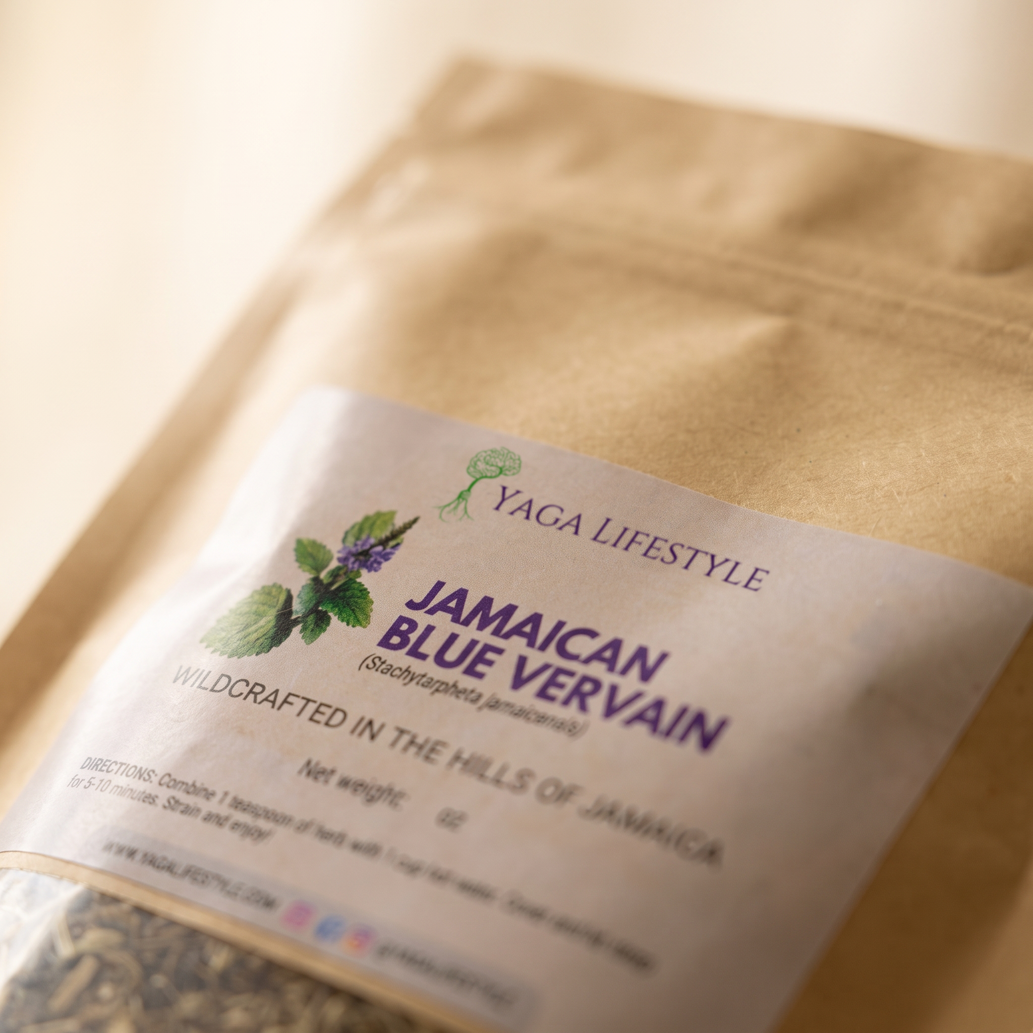 Jamaican Blue Vervain (Wildcrafted)