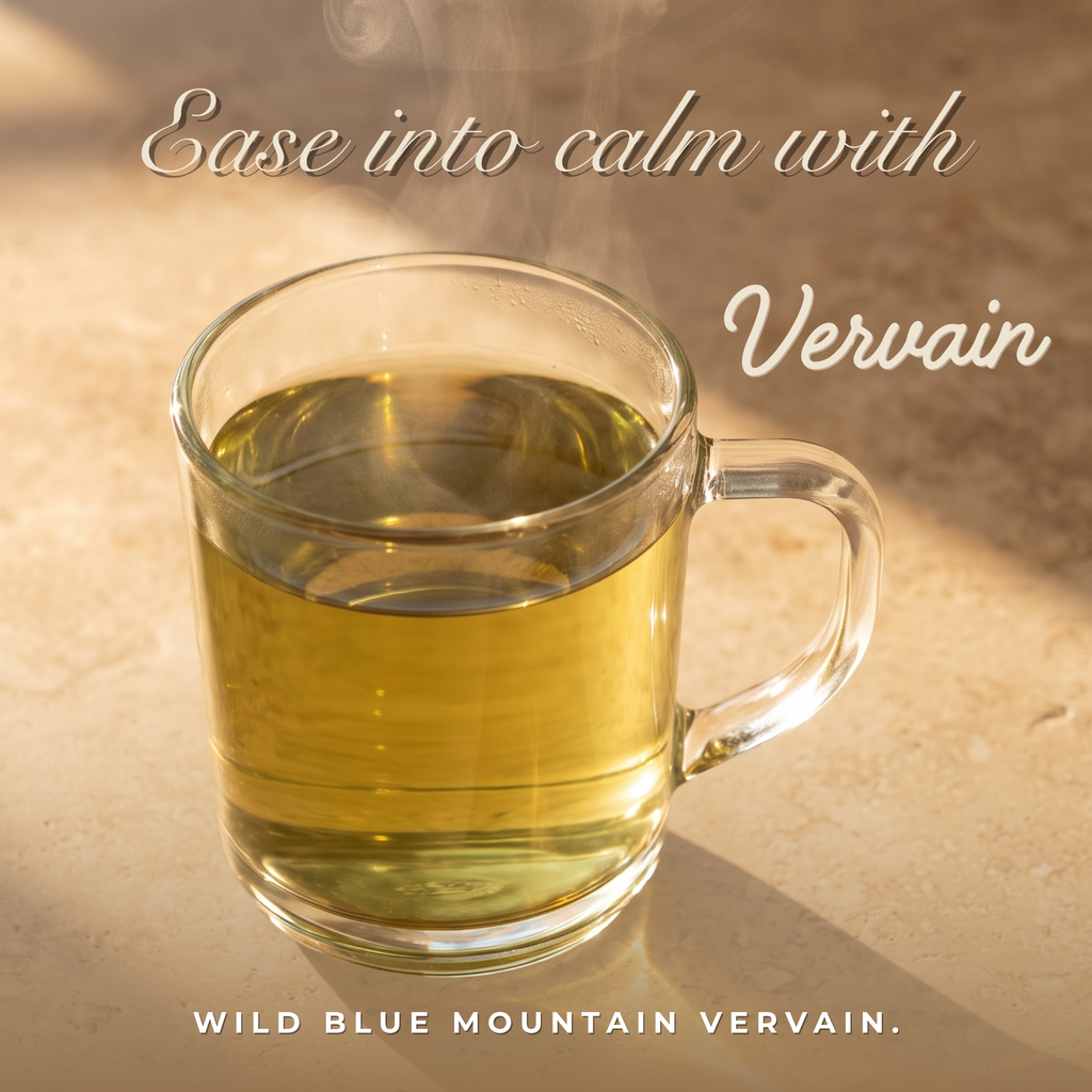Jamaican Blue Vervain (Wildcrafted)