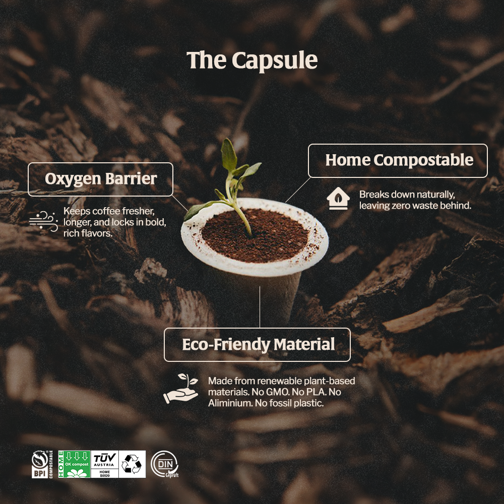 Organic Iced Coffee - Espresso
