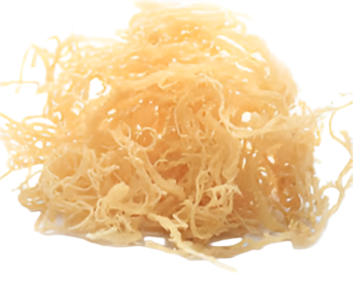 DRY SEA MOSS