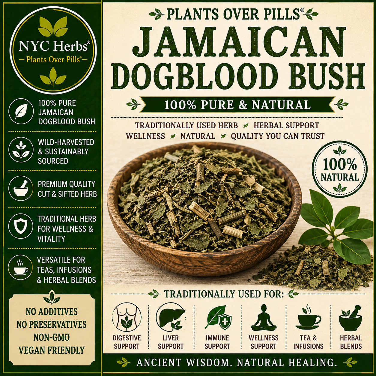Dog Blood Bush | Fertility & Circulatory Support