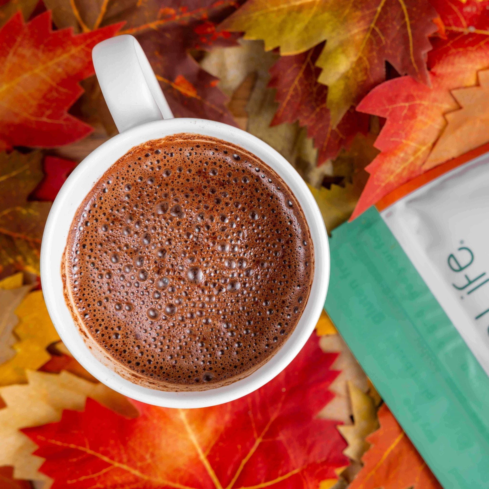 Dairy Free Pumpkin Spice Hot Cocoa Mix | 10 Serving Stand Up Pouch | Gluten Free, Vegan, Organic