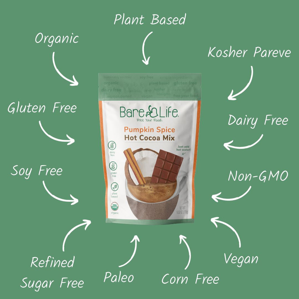 Dairy Free Pumpkin Spice Hot Cocoa Mix | 10 Serving Stand Up Pouch | Gluten Free, Vegan, Organic