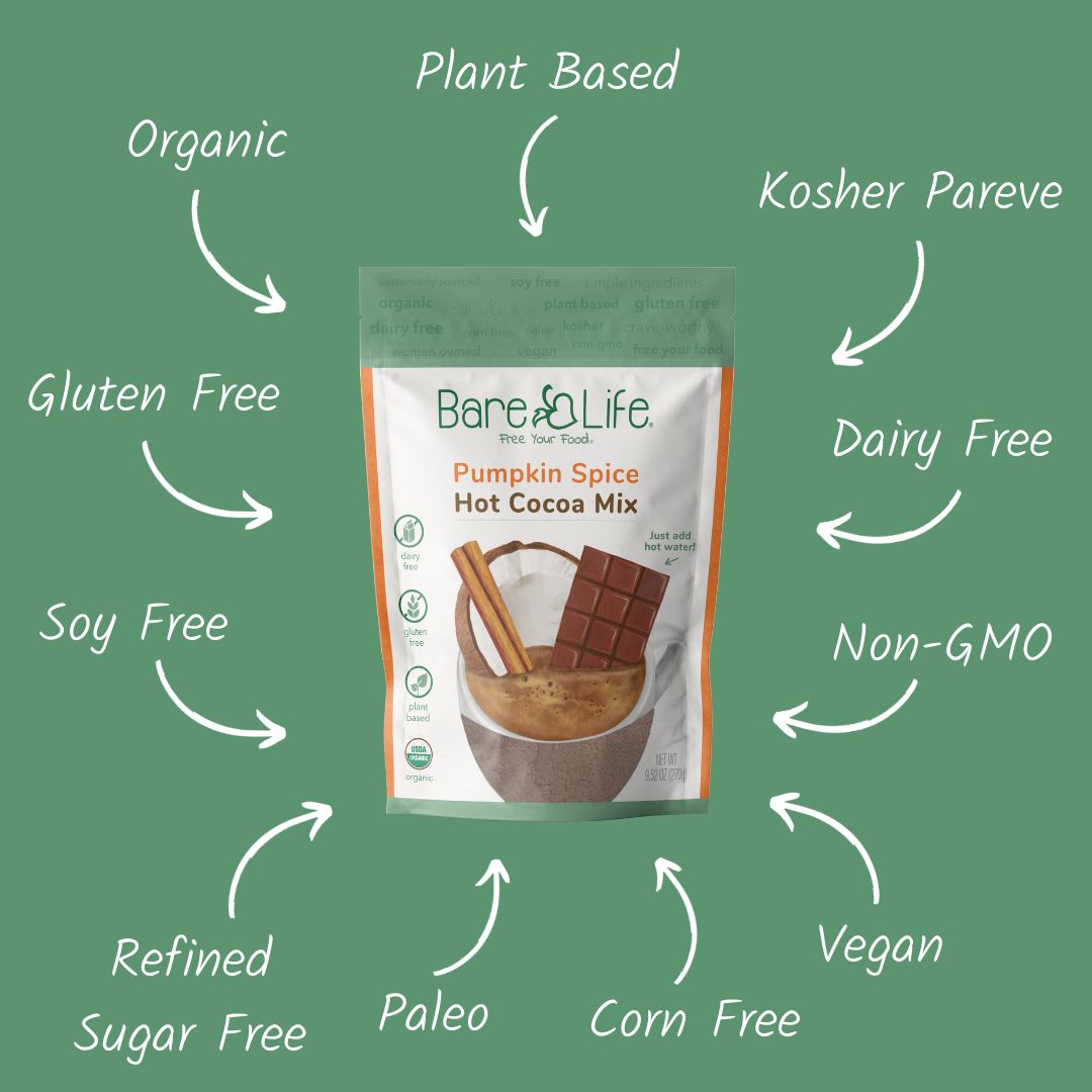 Dairy Free Pumpkin Spice Hot Cocoa Mix | 10 Serving Stand Up Pouch | Gluten Free, Vegan, Organic