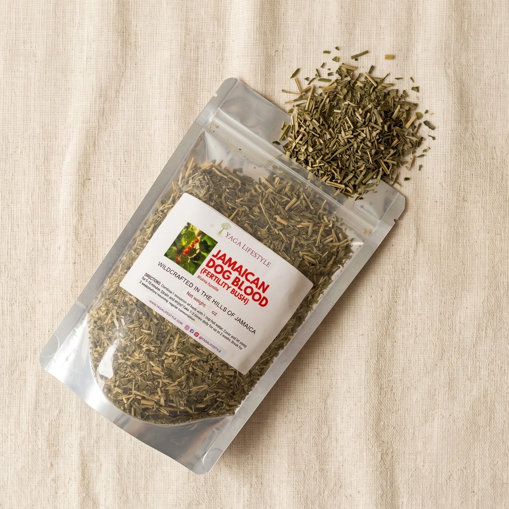 Jamaican Dog Blood Bush | Fertility Herb | Rivinia Humilis