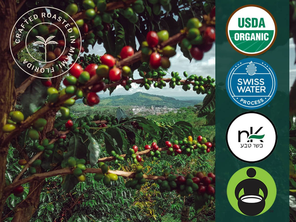 Organic Cuba Mia Decaf Espresso ESE Coffee Pods, Dark Roast - 18 Pods
