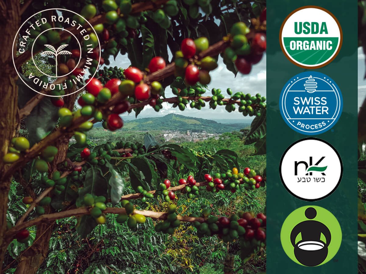 Organic Cuba Mia Decaf Espresso ESE Coffee Pods, Dark Roast - 18 Pods