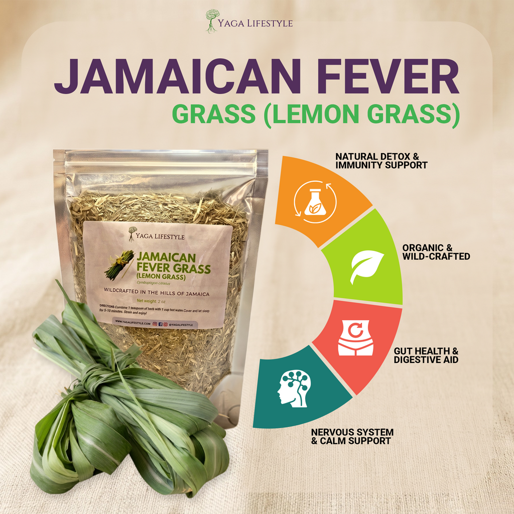 Jamaican Fever Grass (Lemon Grass)