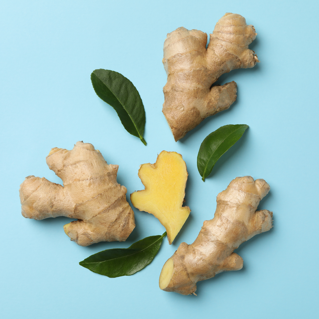 Organic Ginger Caramel Pumpkin Tummydrops, 18 ct