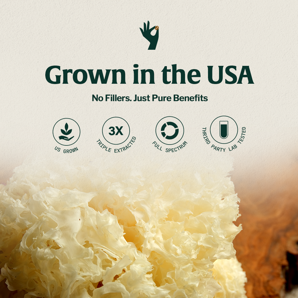 Organic Mushroom Tremella Half Caffeinated - Espresso