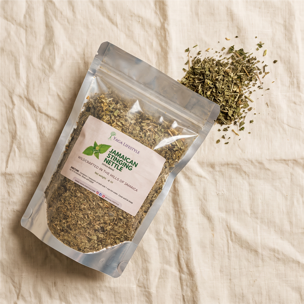 Jamaican Stinging Nettle