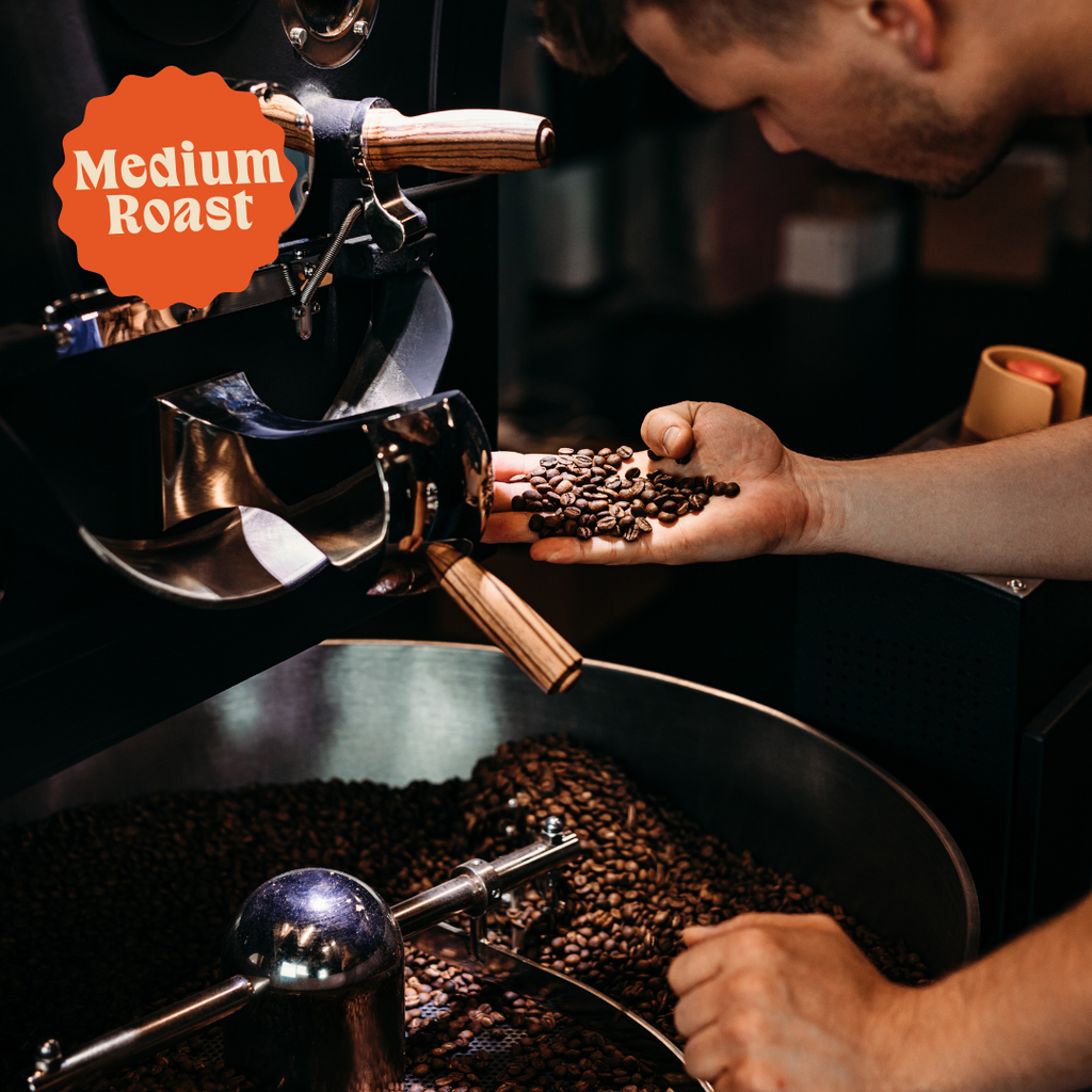 Three Bears | Signature Decaf Blend | Naturally Decaffeinated