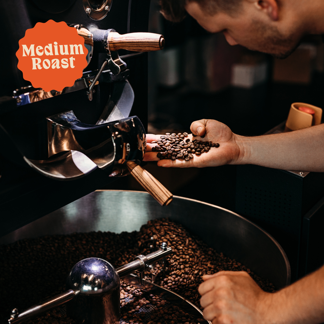 Three Bears | Signature Decaf Blend | Naturally Decaffeinated