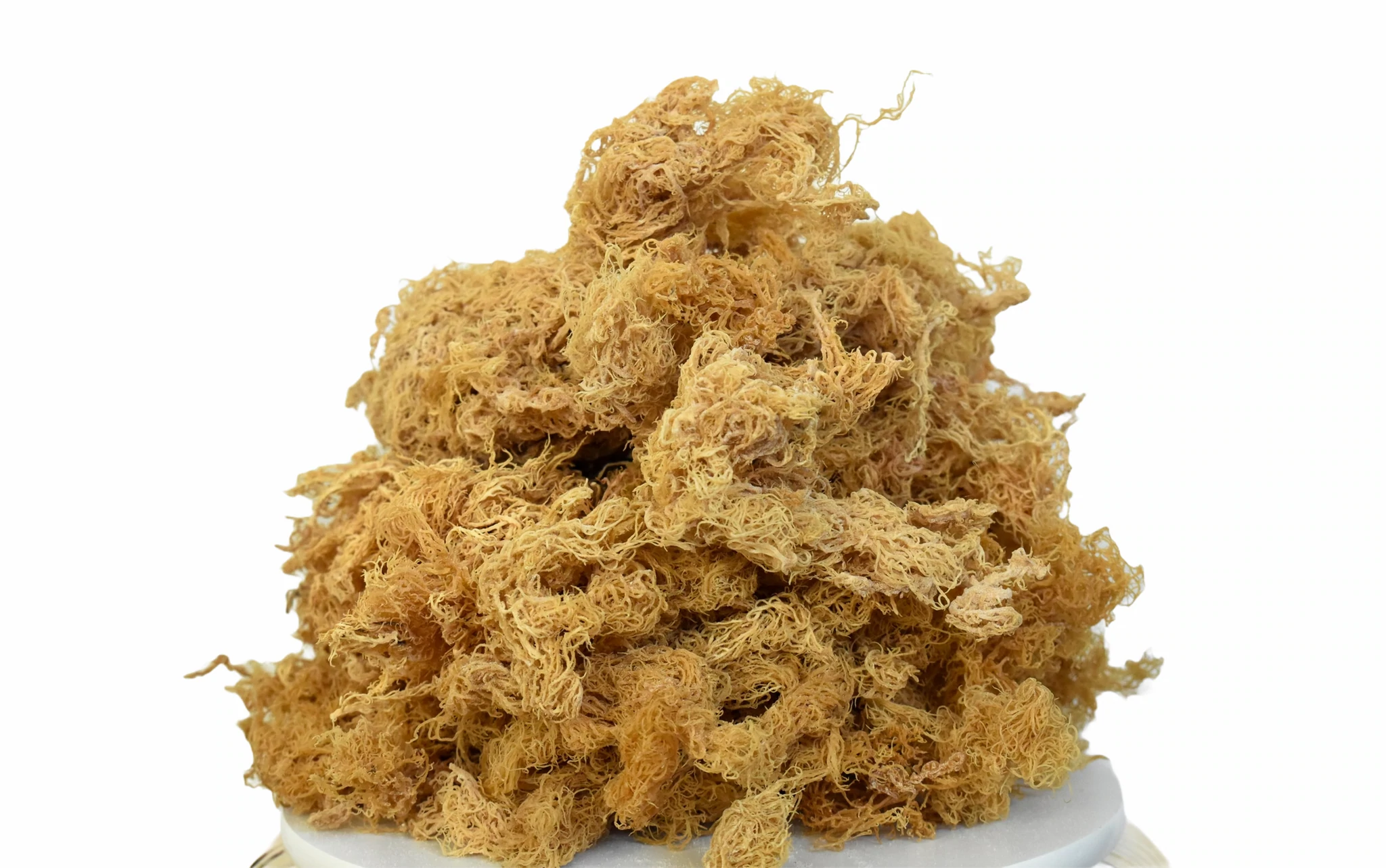 St. Lucia Wildcrafted Gold Raw Sea Moss