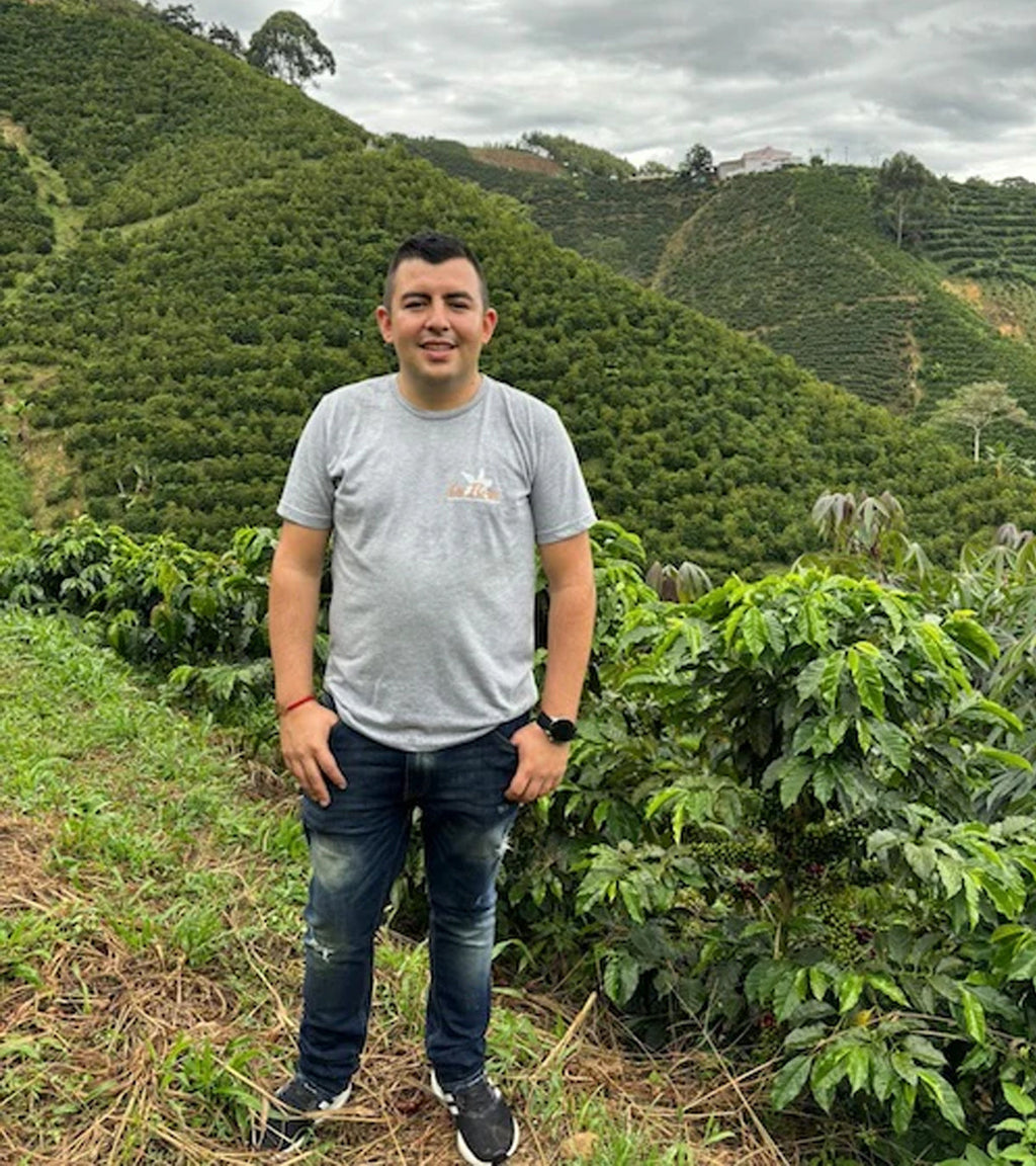 Pink Bourbon | Thermal Shock | Sugarcane EA Decaf | Colombia
