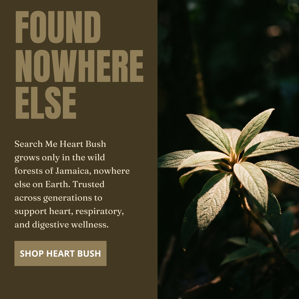 Jamaican Search Me Heart (Heart Bush) 1 oz