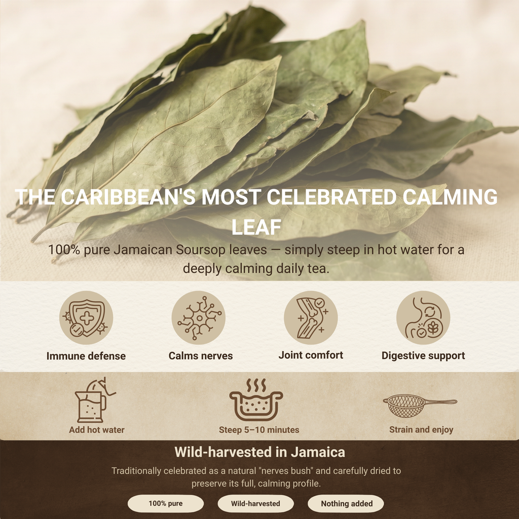 Jamaican Soursop Leaves (Hand-picked, Air-dried whole leaves)