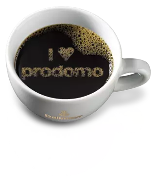 Dallmayr Prodomo Ground Coffee 17.6oz/500g