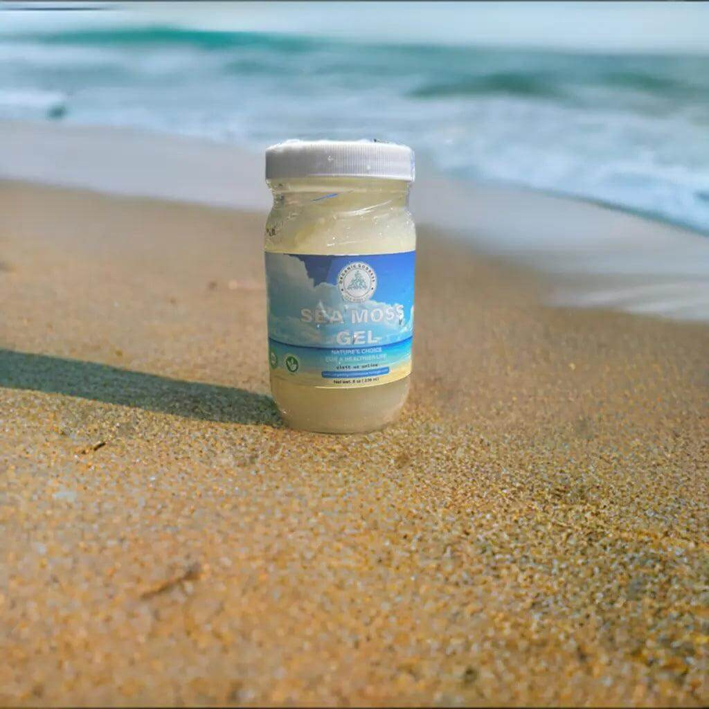Gold Sea Moss Gel | Wildcrafted Sea Moss