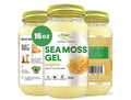 St. Lucia Wildcrafted Sea Moss Gel – Organic Irish Moss | 100% Natural, Vegan Superfood (92 Minerals Boost)