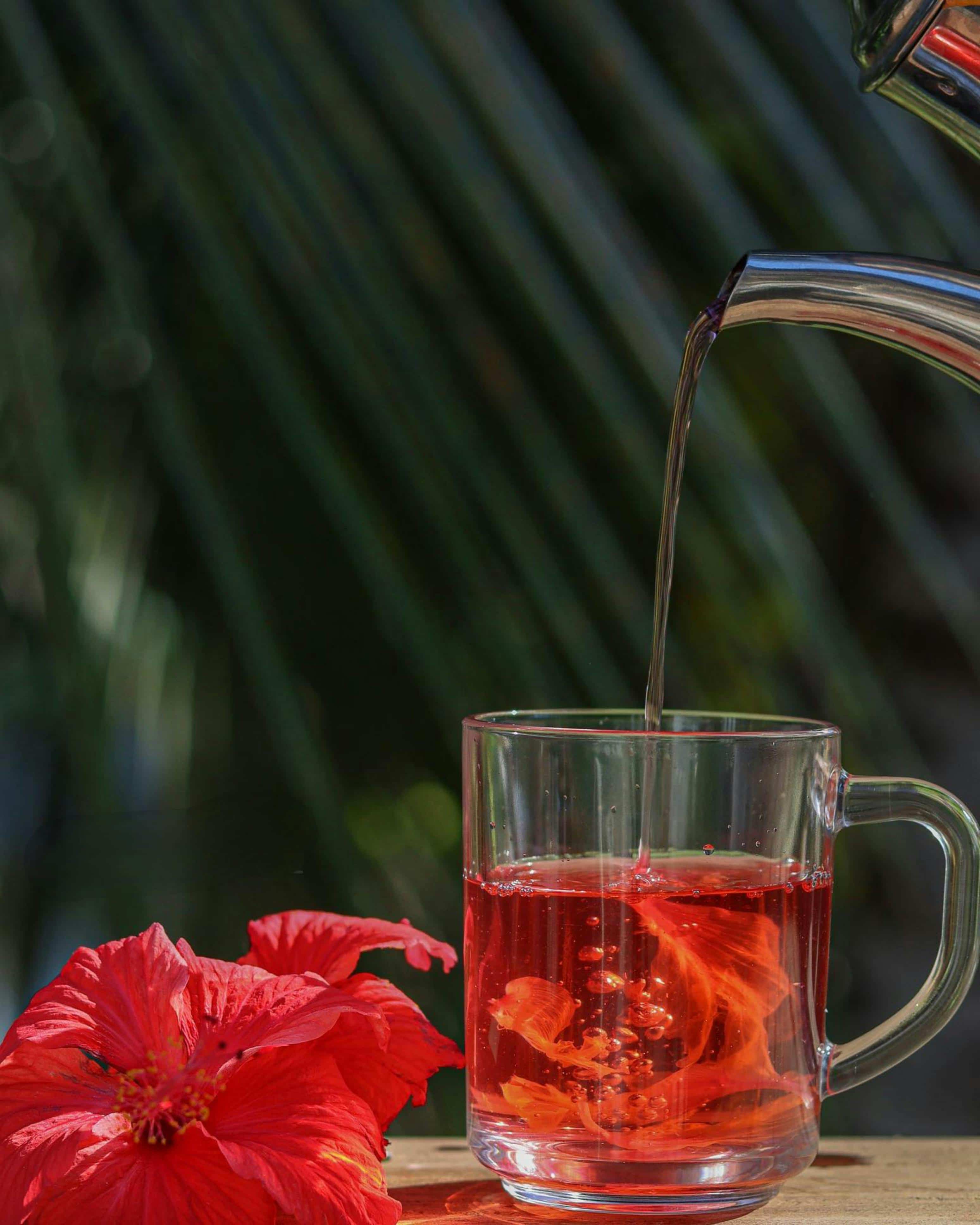 Dried Hibiscus Flowers 5 oz – Loose Leaf Hibiscus Tea | Akshit