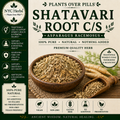 Shatavari Root c/s | Women's Hormonal Balance & Reproductive Tonic