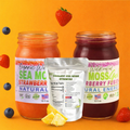 Sea Moss Paradise Pack Bundle - Gummies + 2 Gels Variety Pack