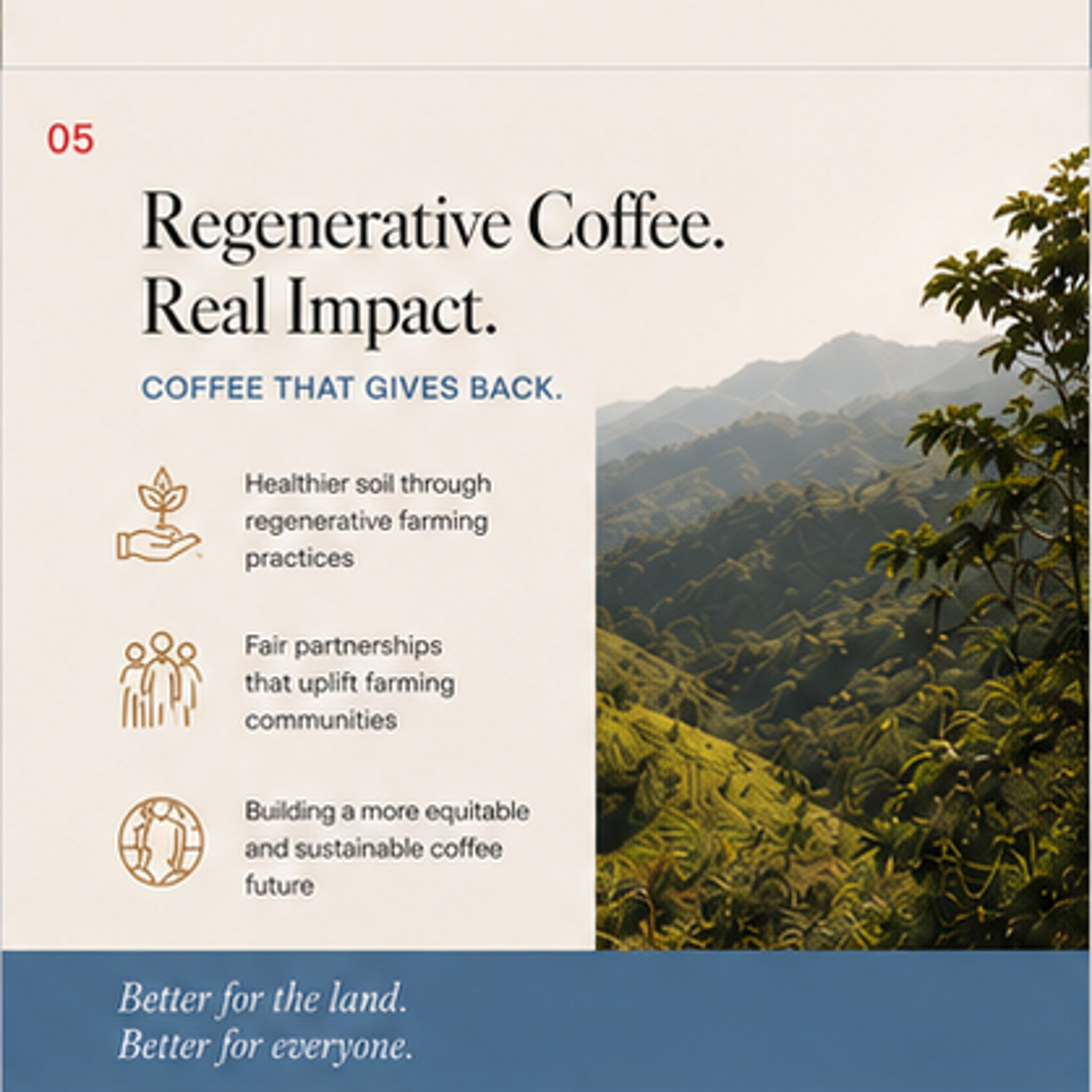 1804: Honduras, Decaf
