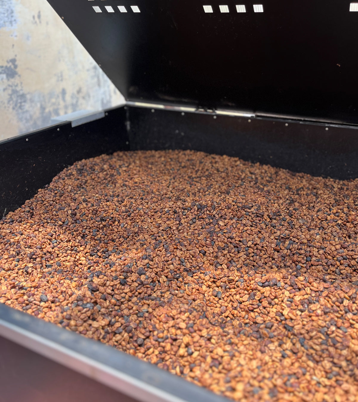White Honey | Swiss Water® Decaf | Colombia